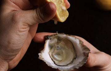 sherwood-island-oysters
