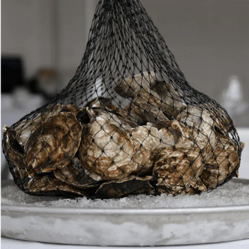 sherwood-island-oysters