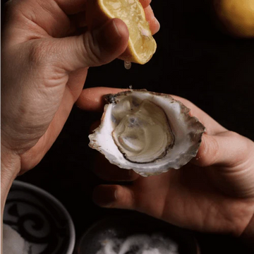 sherwood-island-oysters