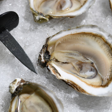 sherwood-island-oysters